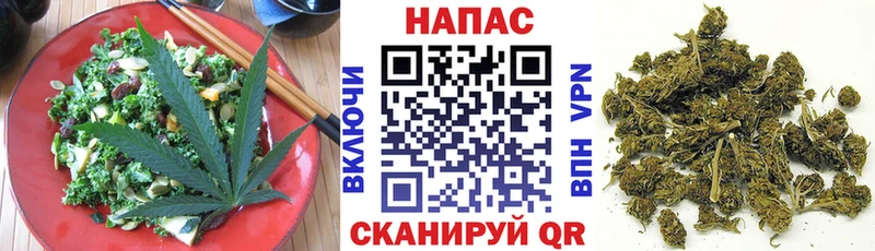 Cannafood конопля  дарк нет как зайти  Пятигорск 