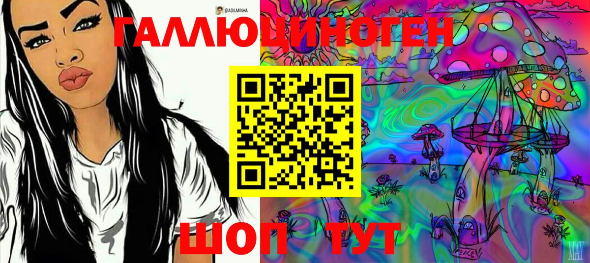 Псилоцибиновые грибы Psilocybine cubensis Пятигорск